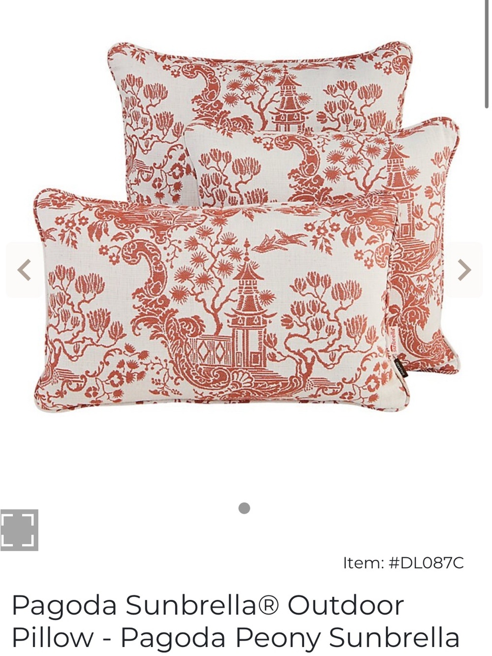 Sunbrella Coral Floral Decorative Throw Pillow - Picture 4 of 4